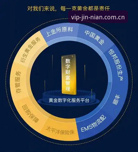 金年会平台下载全面评测：从安装体验到创新功能的深度解析